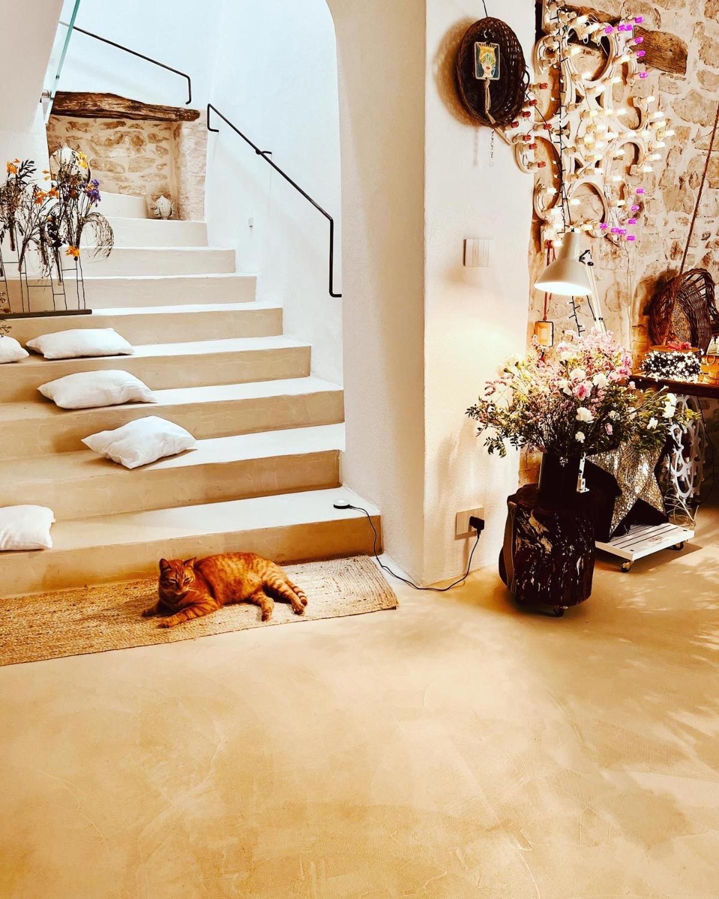 Hydria Guest House Art Gallery Acquaviva delle Fonti Εξωτερικό φωτογραφία